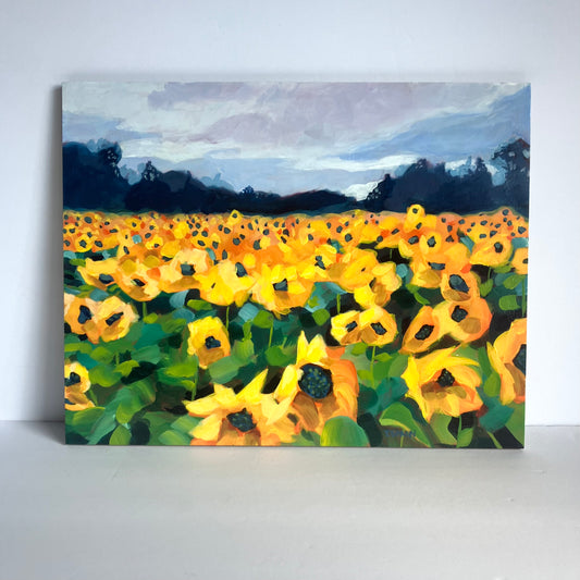 f- Following the Sun- FRAMED