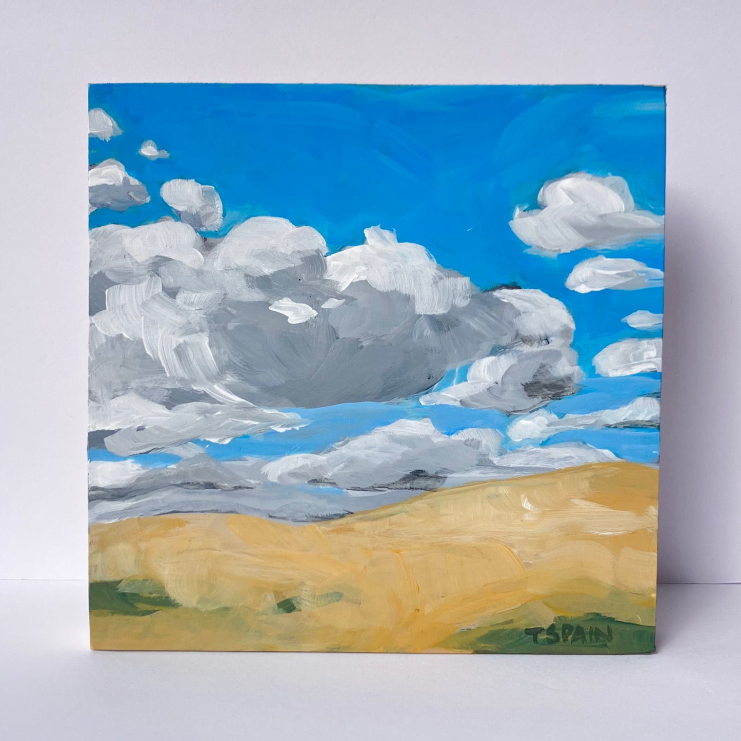 L- Sun kissed Fields