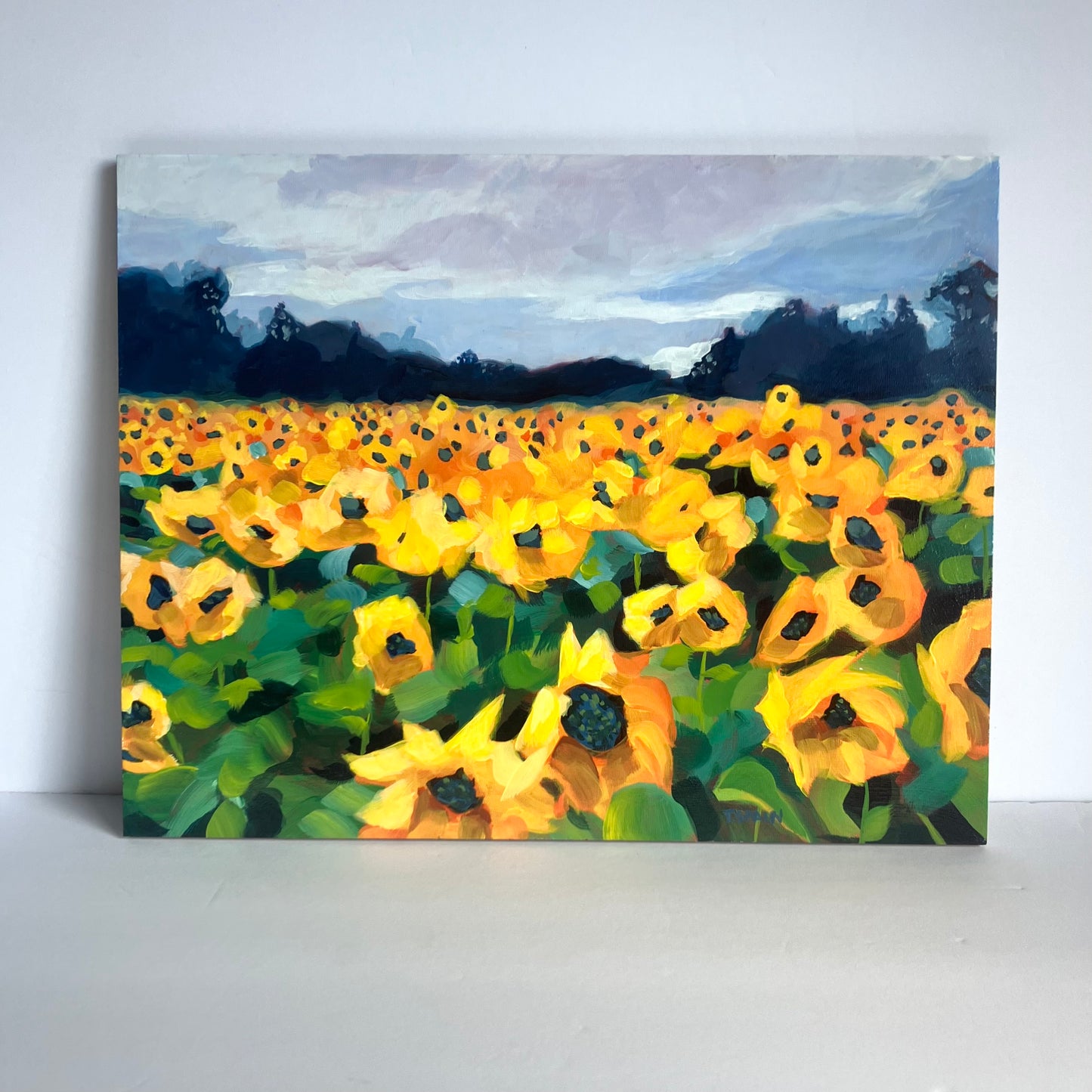 f- Following the Sun- FRAMED