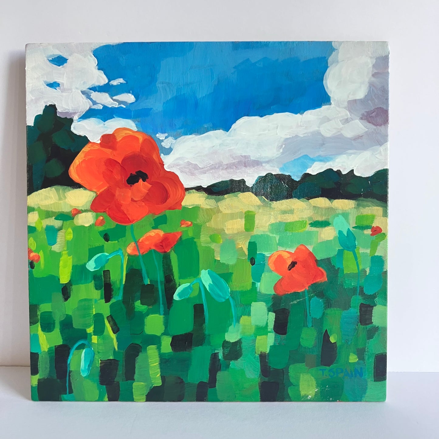 f- Pop of Poppies